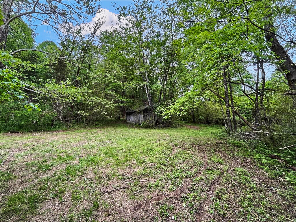 3953 Shingle Block Road Bedford, VA 24523 - Photo 65 of 80 IMG_2477