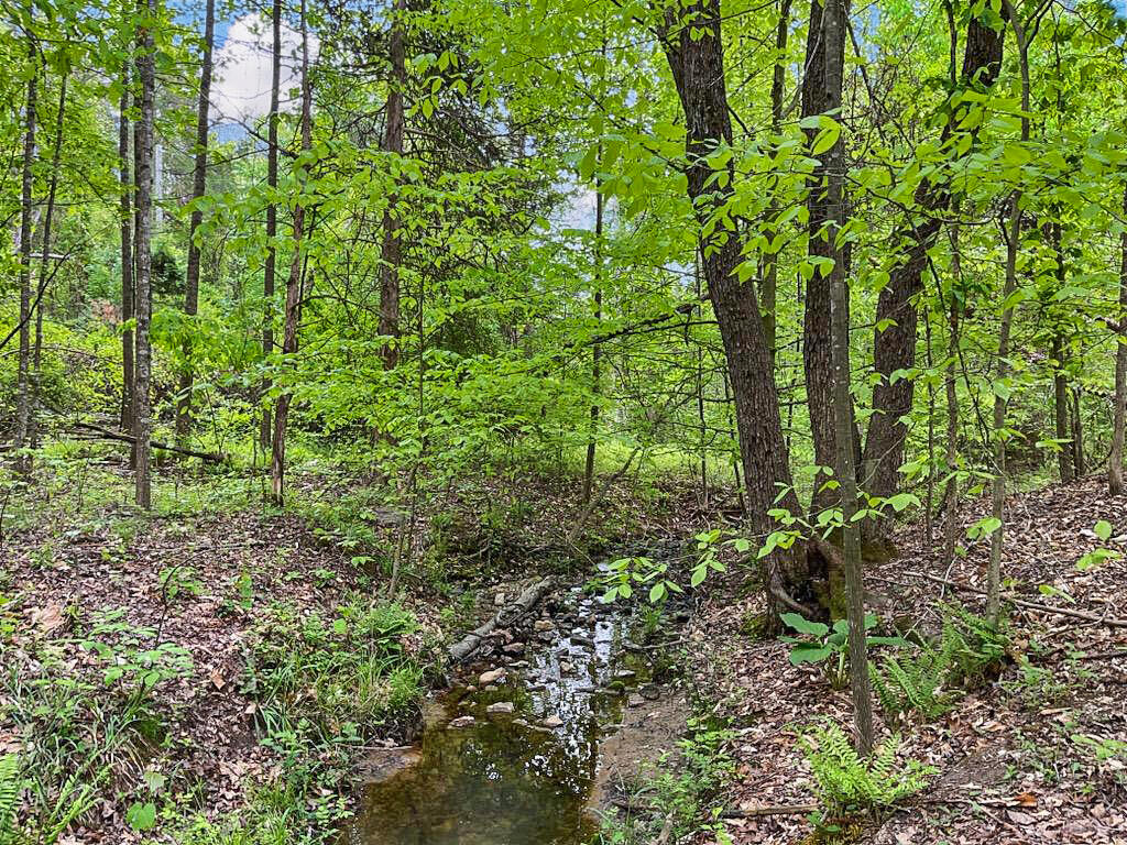 3953 Shingle Block Road Bedford, VA 24523 - Photo 67 of 80 IMG_2489