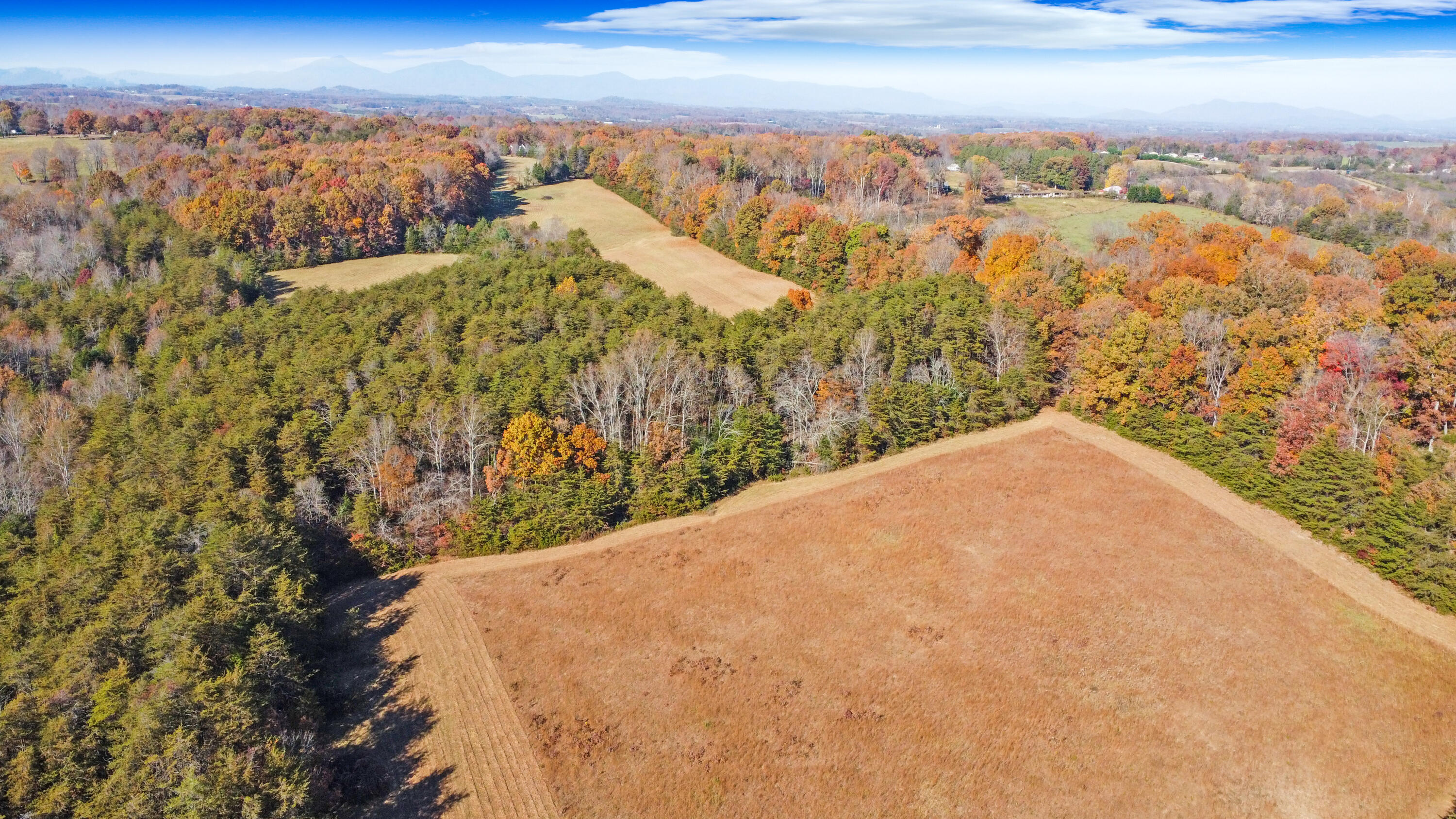 3953 Shingle Block Road Bedford, VA 24523 - Photo 75 of 80 DJI_0207