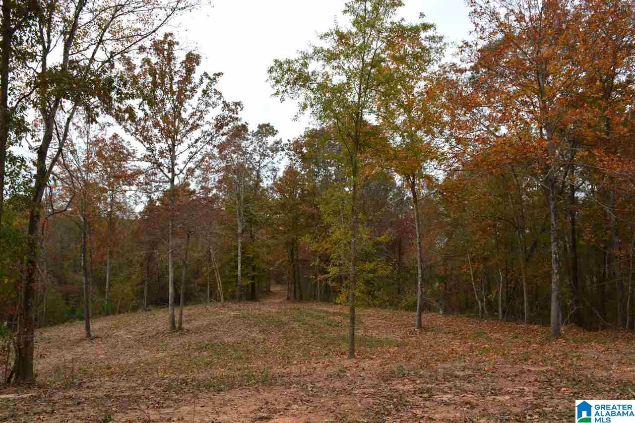 0 Jackson Loop Road, Unit 1 Ragland, AL 35131 - Photo 5 of 27