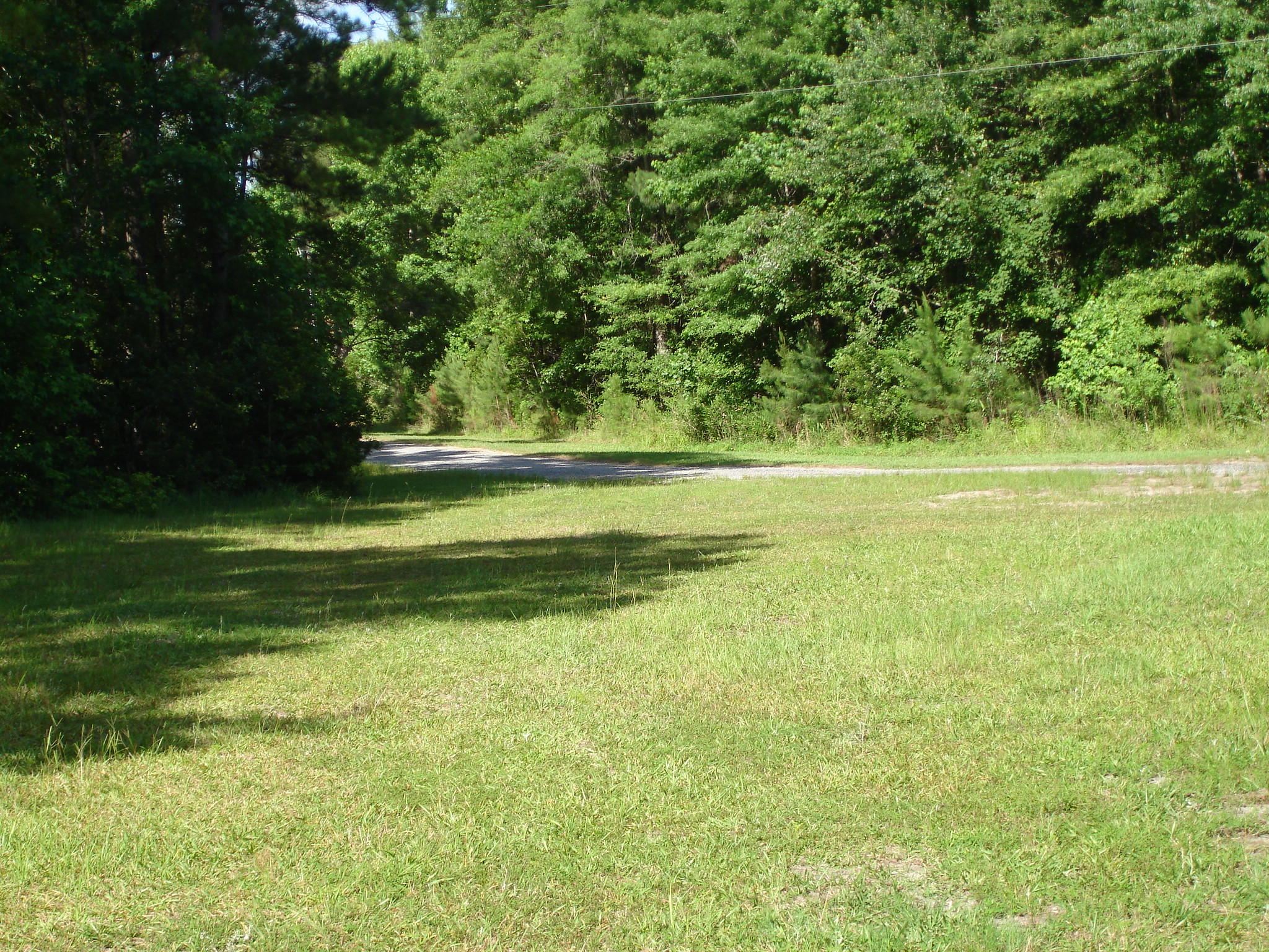 5620 Salters Hill Road Ravenel, SC 29470 - Photo 1 of 1 Rice Hope lot 19 pictures (3)