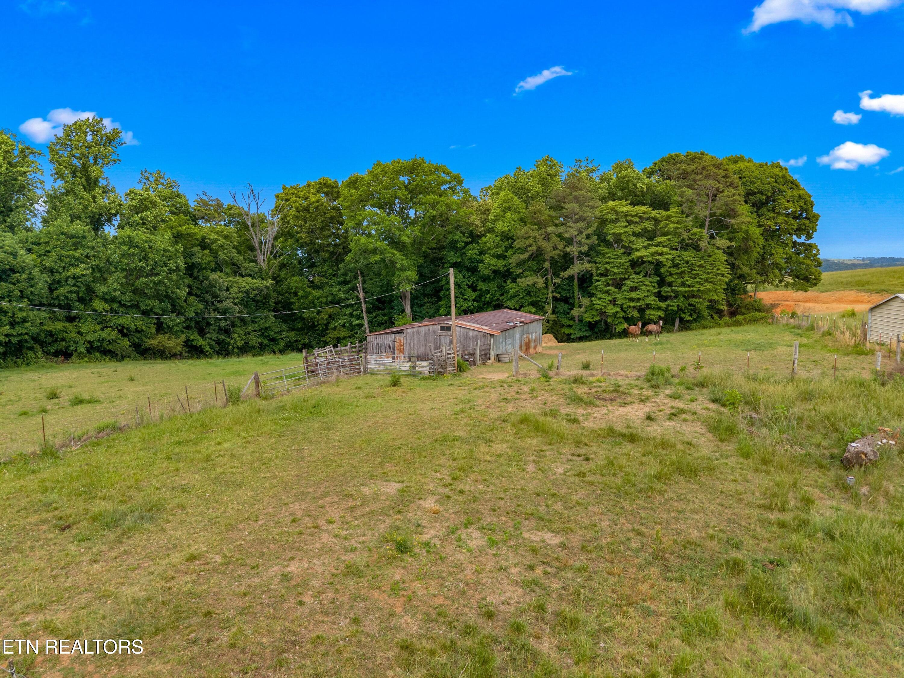 485 Longmire Road Rutledge, TN 37861 - Photo 14 of 28 015-485LongmireRoad-Rutledge-TN-37861-SM
