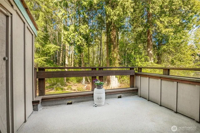 a view of back yard of the house