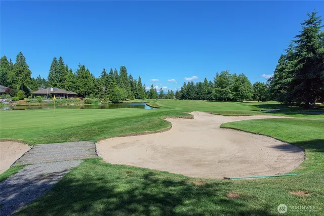 a view of a street with potted plants and large trees