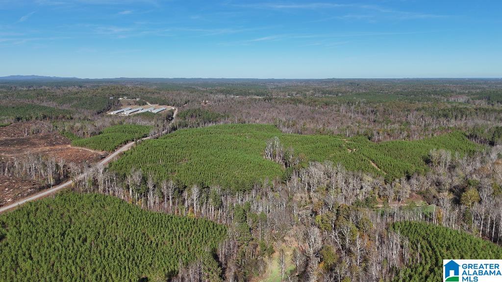 0 County Road 65 Fruithurst, AL 36262 - Photo 11 of 14