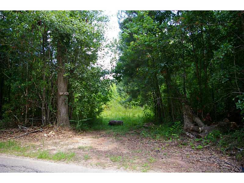 0 Morgan Howes Road Ponchatoula, LA 70454 - Photo 1 of 3 Gallery Image 1