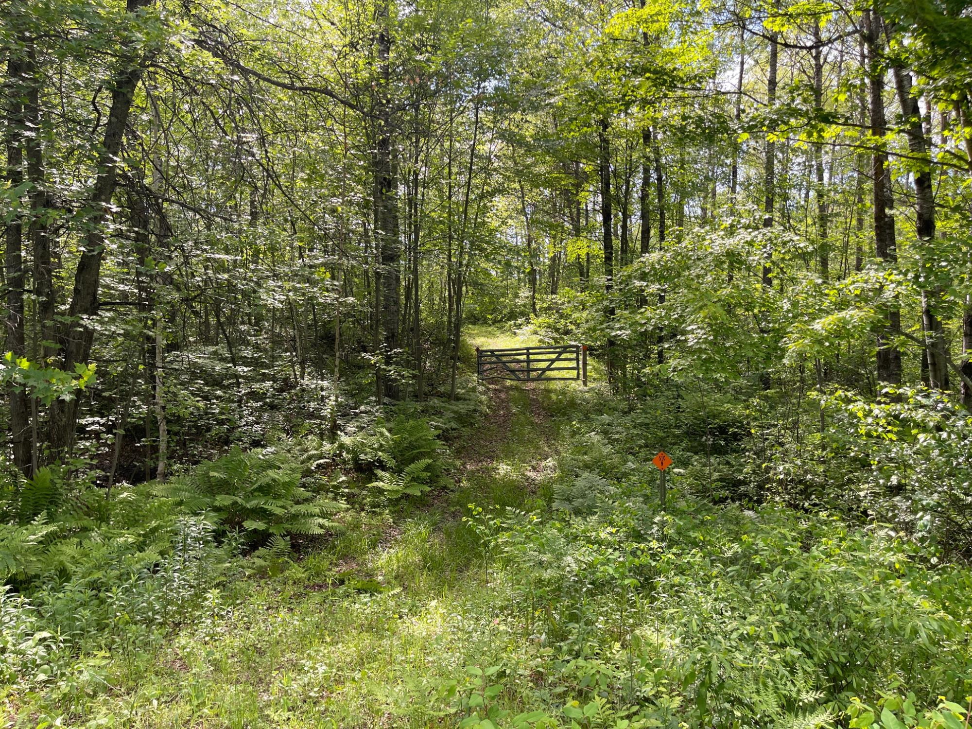 3-acres Birch Bay Road Tomahawk, WI 54487 - Photo 1 of 7 Gallery Image 1