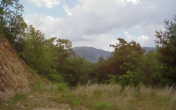 Pisgah Woods (6.55) Marble, NC 28905 - Photo 1 of 2 Main View