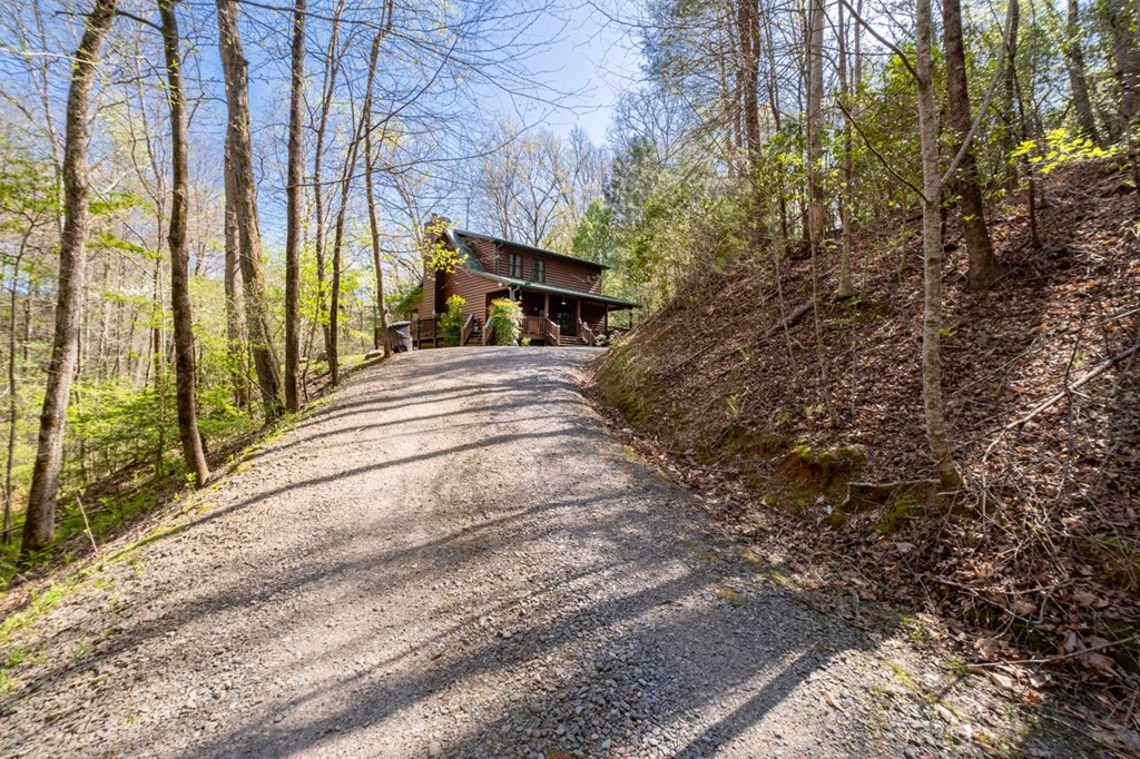 389 Tall Timber Mountain Road Blue Ridge, GA 30513 - Photo 3 of 46