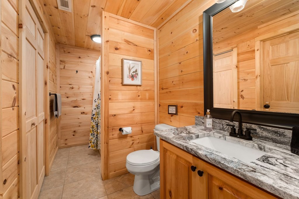 389 Tall Timber Mountain Road Blue Ridge, GA 30513 - Photo 33 of 46