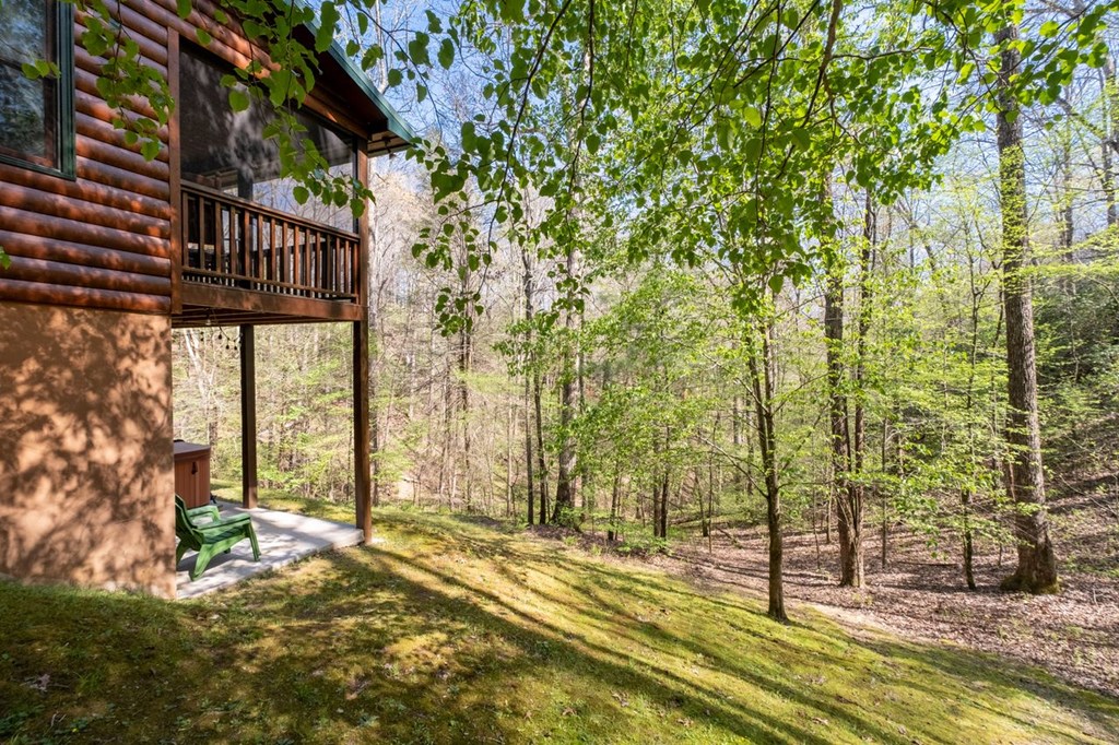 389 Tall Timber Mountain Road Blue Ridge, GA 30513 - Photo 36 of 46