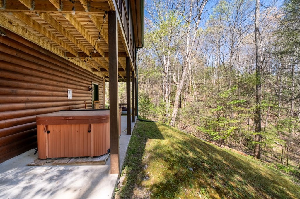 389 Tall Timber Mountain Road Blue Ridge, GA 30513 - Photo 37 of 46