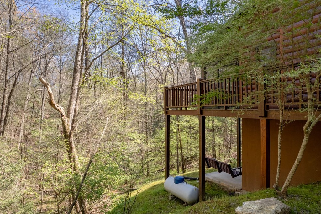 389 Tall Timber Mountain Road Blue Ridge, GA 30513 - Photo 39 of 46