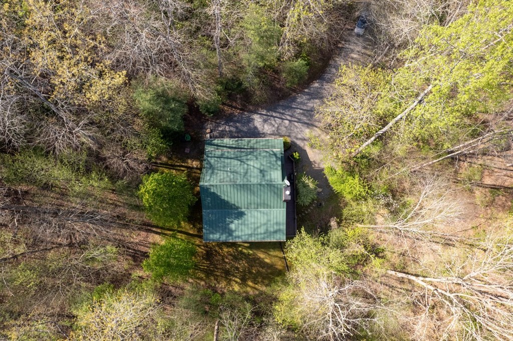 389 Tall Timber Mountain Road Blue Ridge, GA 30513 - Photo 41 of 46