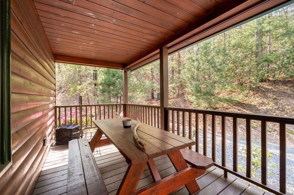 389 Tall Timber Mountain Road Blue Ridge, GA 30513 - Photo 8 of 46