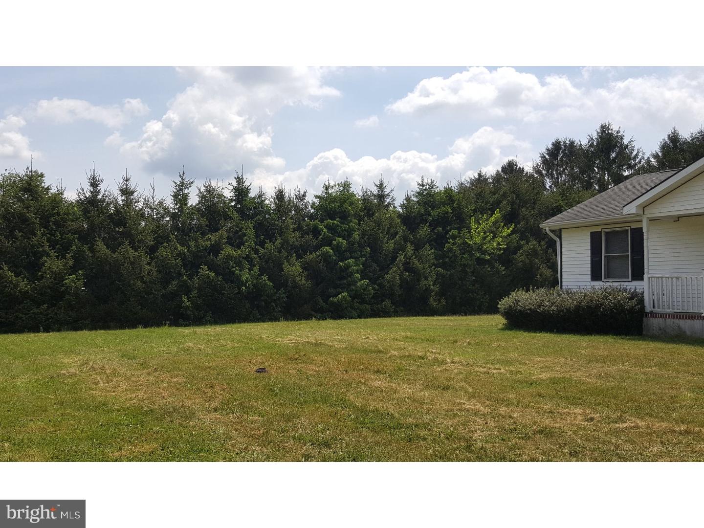 66 Fern Road Bridgeton, NJ 08302 - Photo 3 of 34 Front Yard