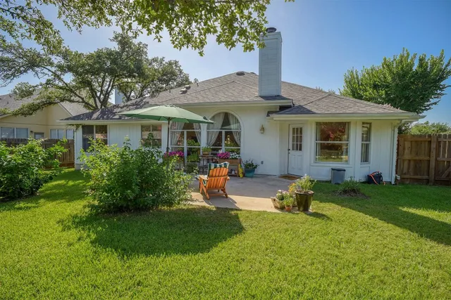 a view of a garden with plants and large trees