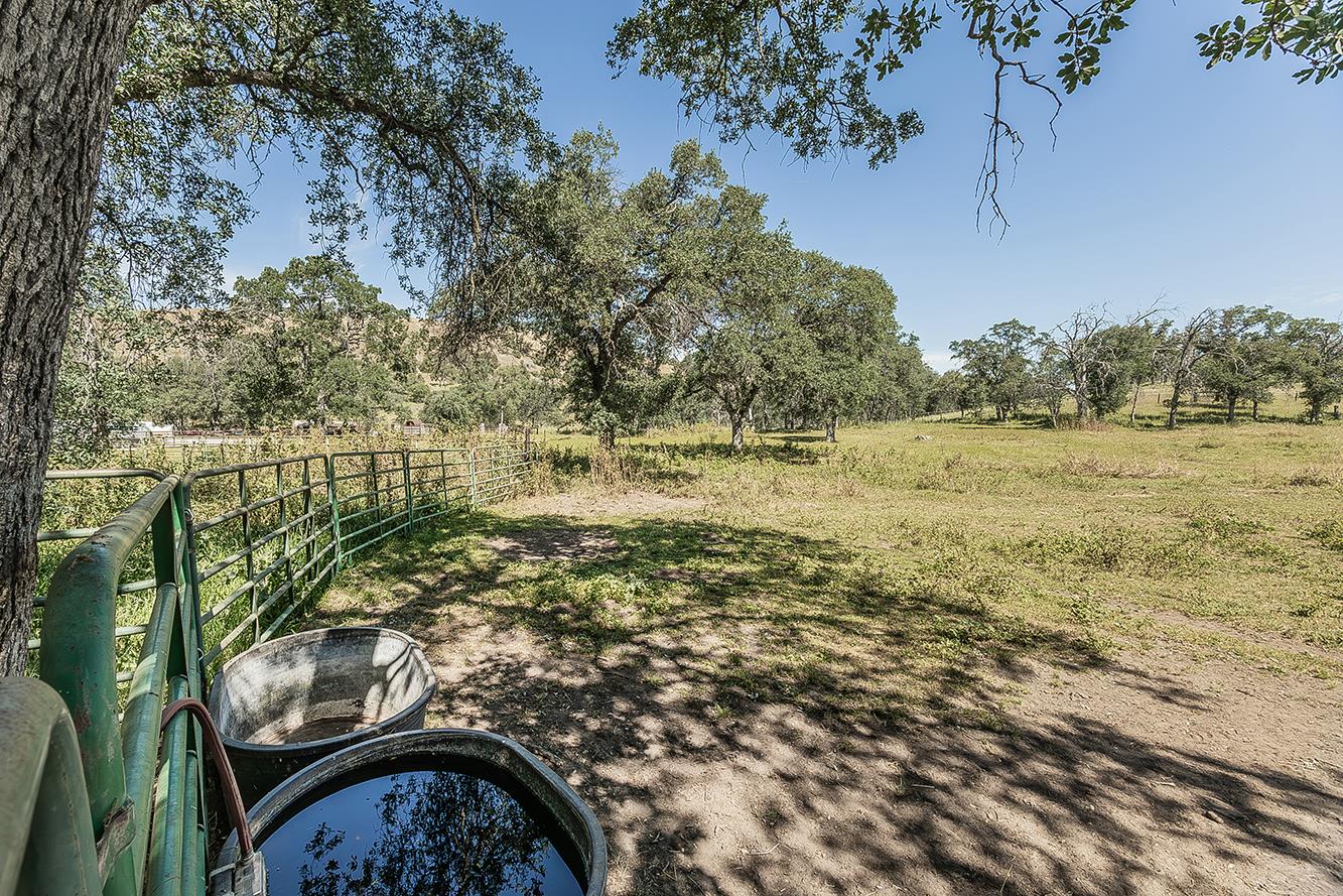 26045 Pittman Hill Road Clovis, CA 93619 - Photo 52 of 93 a view of a yard with an trees