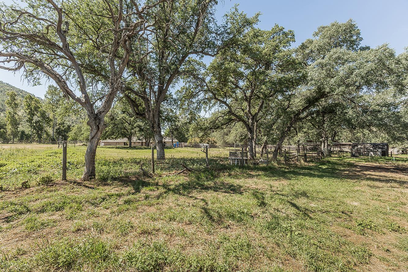 26045 Pittman Hill Road Clovis, CA 93619 - Photo 54 of 93 a view of backyard with tree