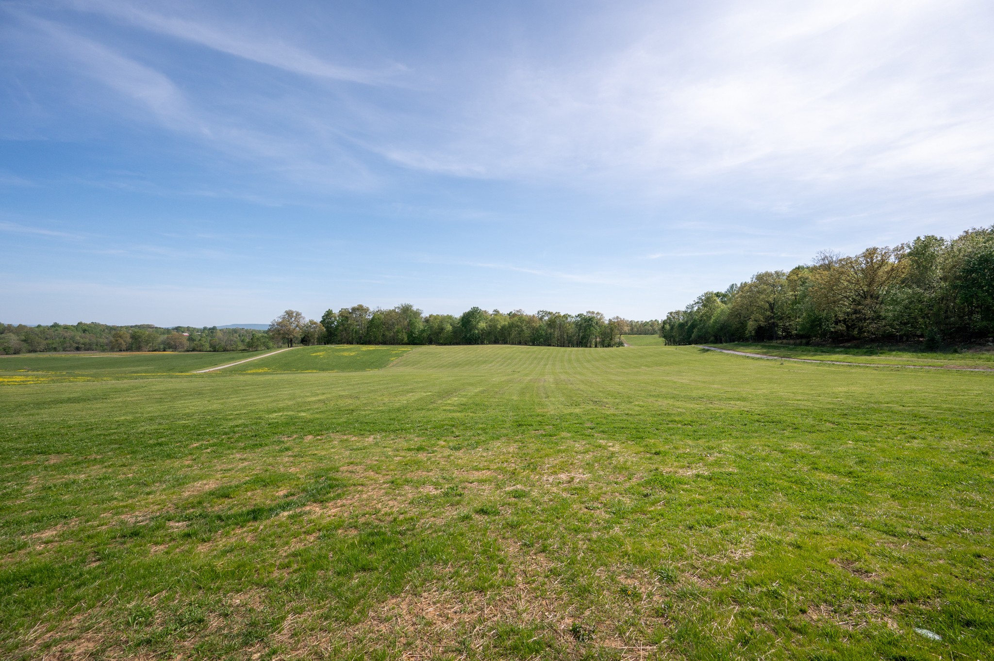 625 Robert Smith Road McMinnville, TN 37110 - Photo 5 of 40 a view of a lake with a big yard