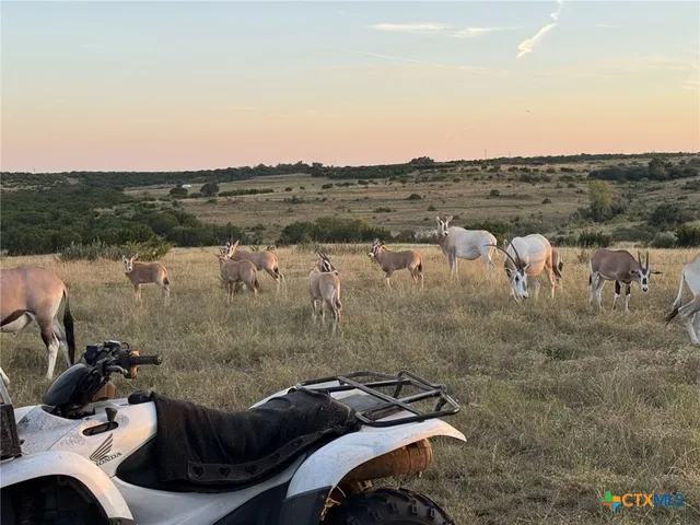 $9,500,000 | 6101 Cr 208 Lampasas Tx 76550, Lampasas, TX 76550