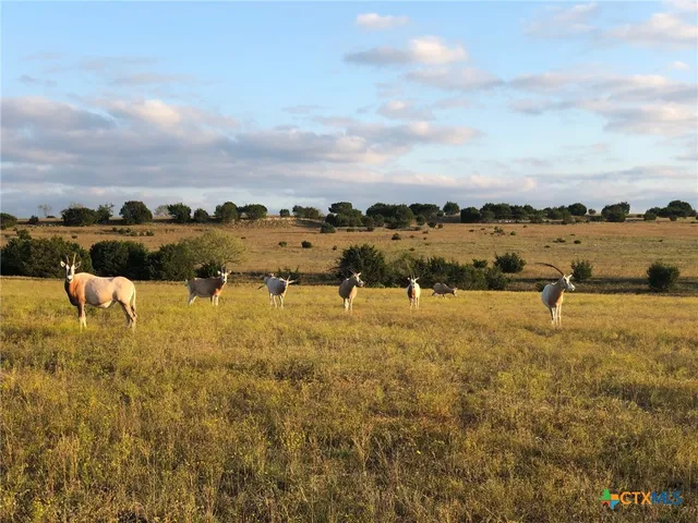 $9,500,000 | 6101 Cr 208 Lampasas Tx 76550, Lampasas, TX 76550