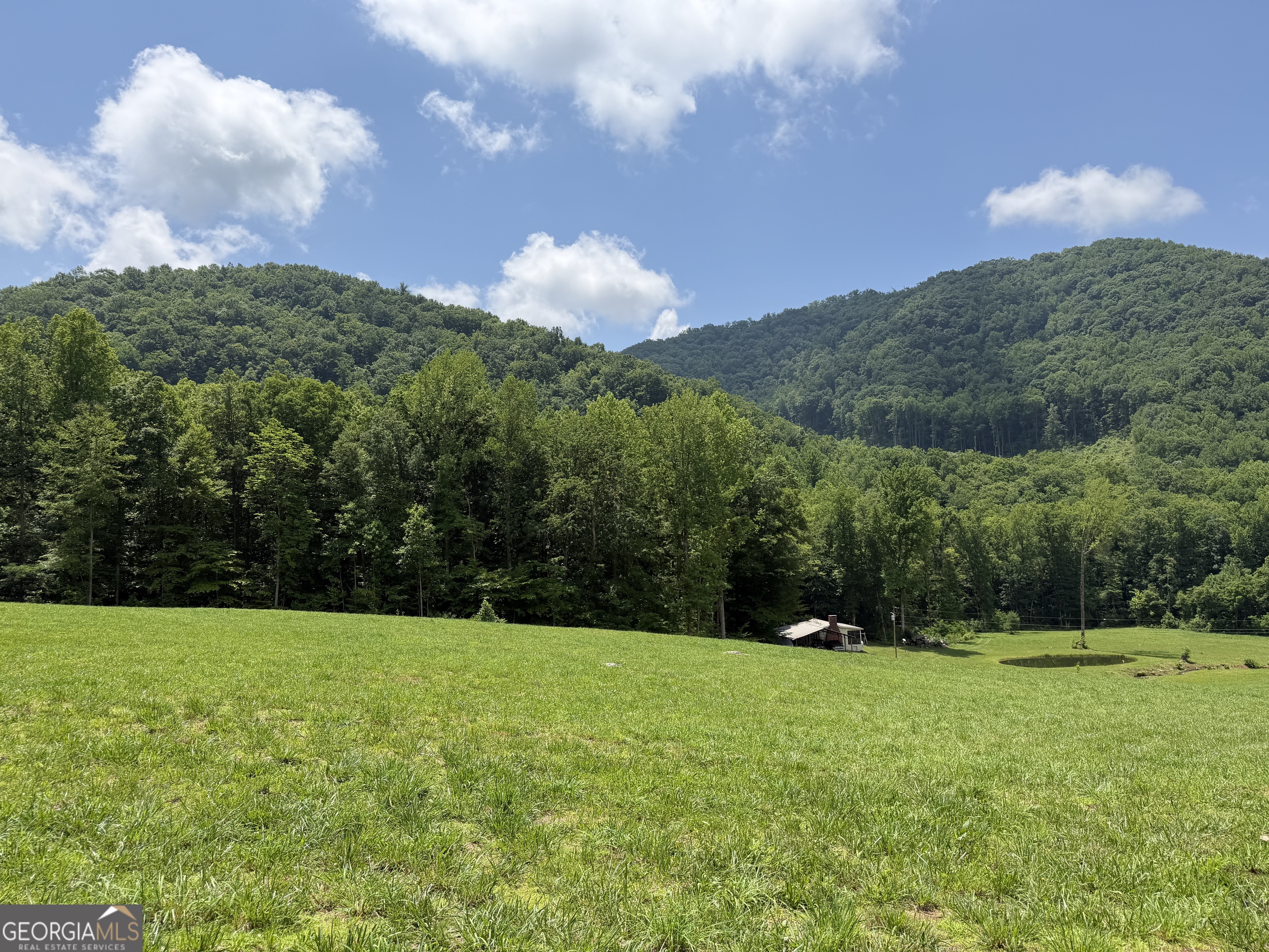 1449 Muskrat Creek Road Hayesville, NC 28904 - Photo 73 of 95