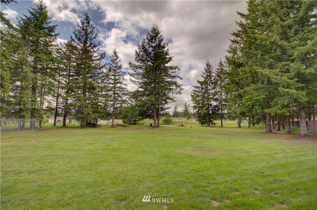 5138 180th Trail Southwest Rochester, WA 98579 - Photo 26 of 33 a view of a trees in a field