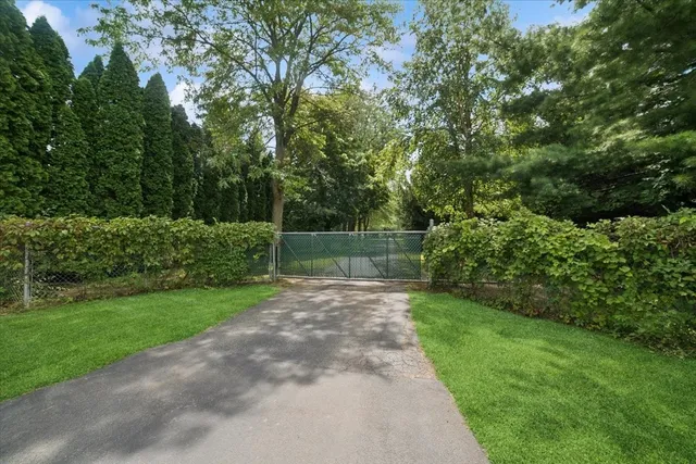 a view of a yard with a large trees