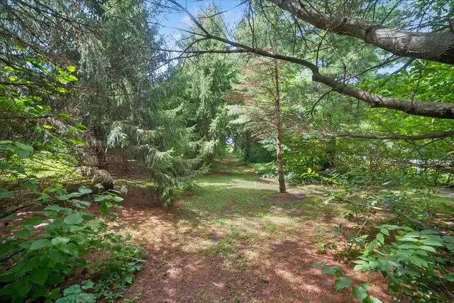 a big yard with lots of green space and house view