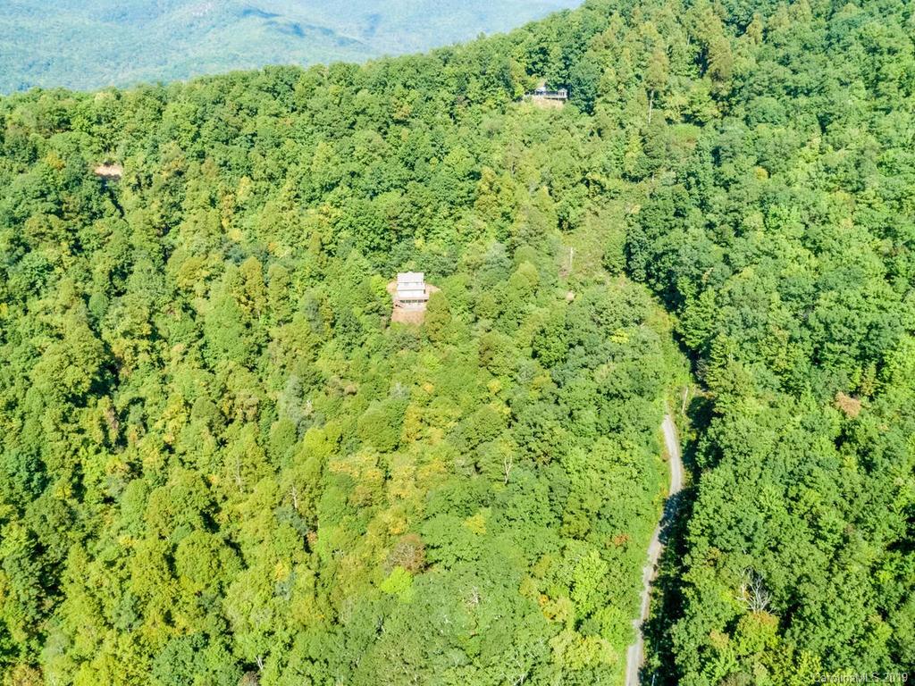 1299 Pine Ridge Road Burnsville, NC 28714 - Photo 39 of 41 a view of a big yard with plants and large trees