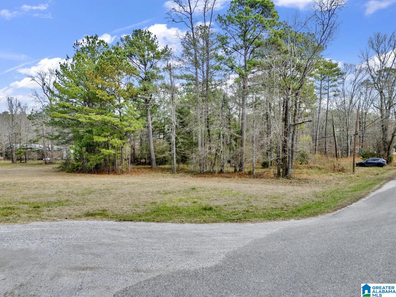 1383 Camp Branch Road, Unit 1 Alabaster, AL 35007 - Photo 4 of 20