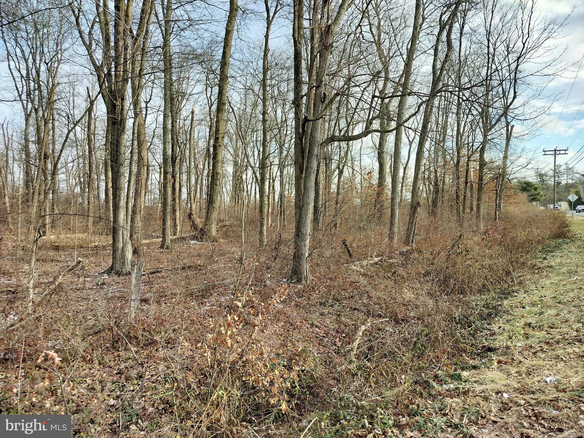 147 A Rocktown Road Ringoes, NJ 08551 - Photo 45 of 49 a view of backyard with green space