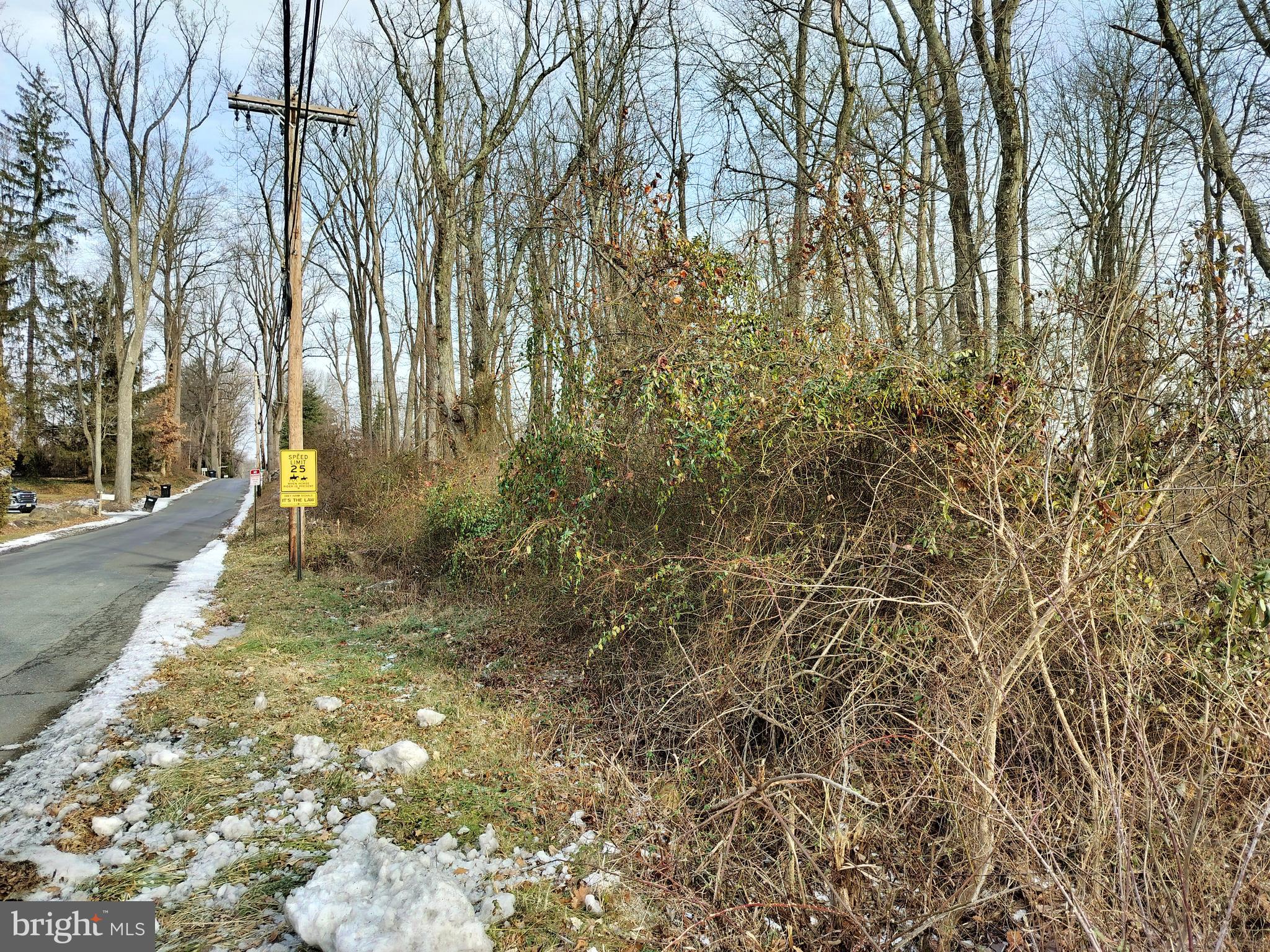 147 A Rocktown Road Ringoes, NJ 08551 - Photo 46 of 49 a view of yard with trees