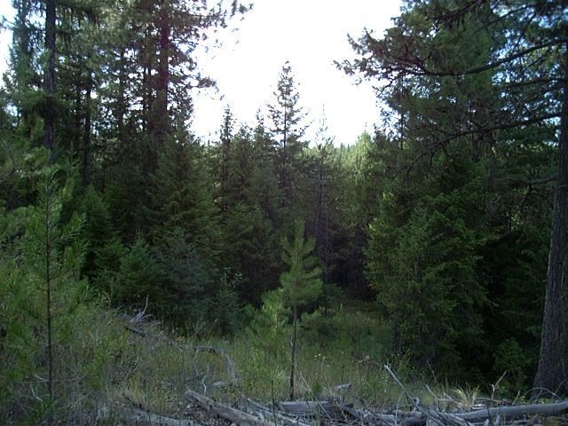 113 Beaver Vly Road Newport, WA 99156 - Photo 16 of 20 Gallery Image 16