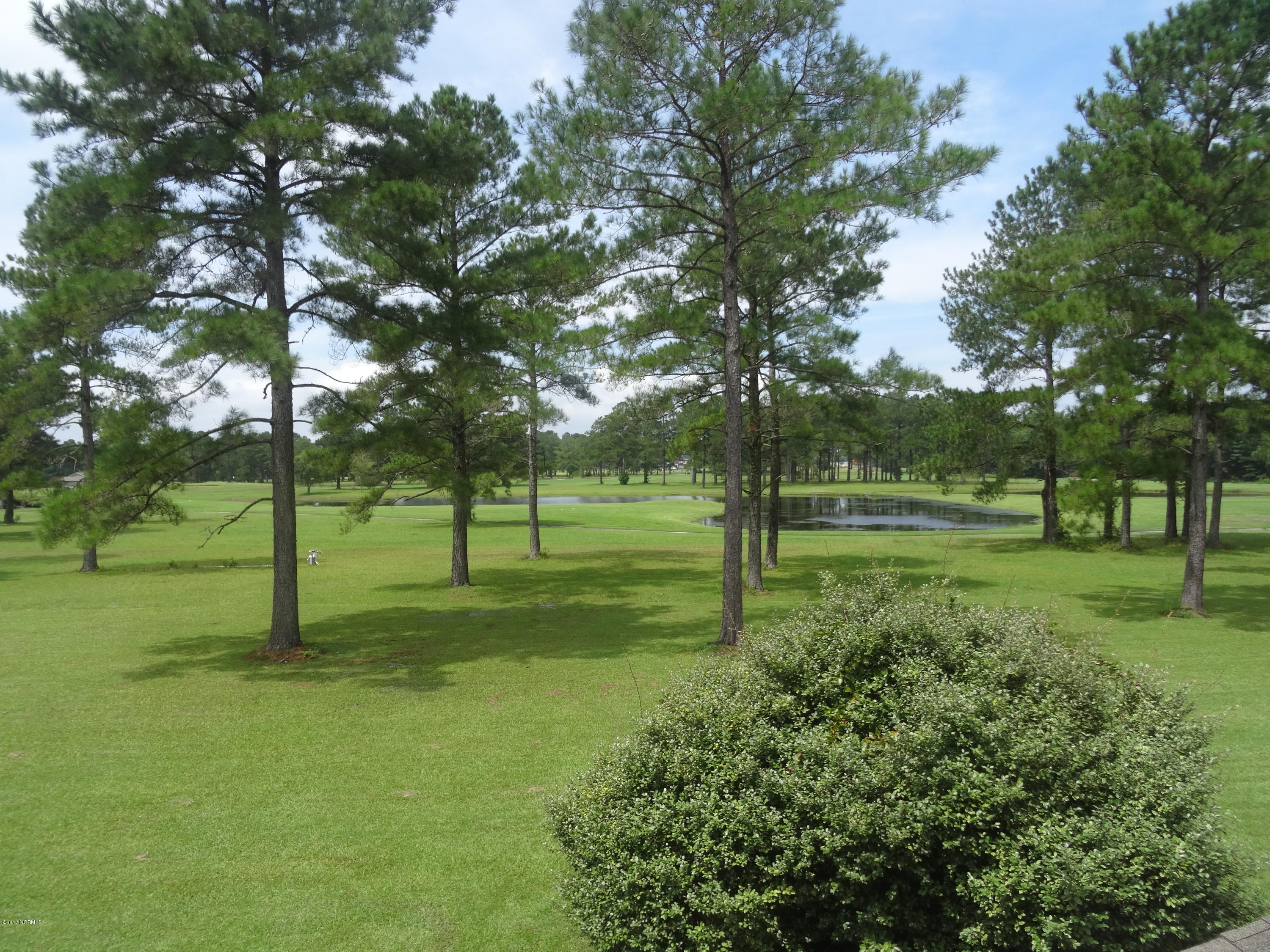 601 Peletier Loop Road, Unit K66 Swansboro, NC 28584 - Photo 29 of 34 Back Yard 2