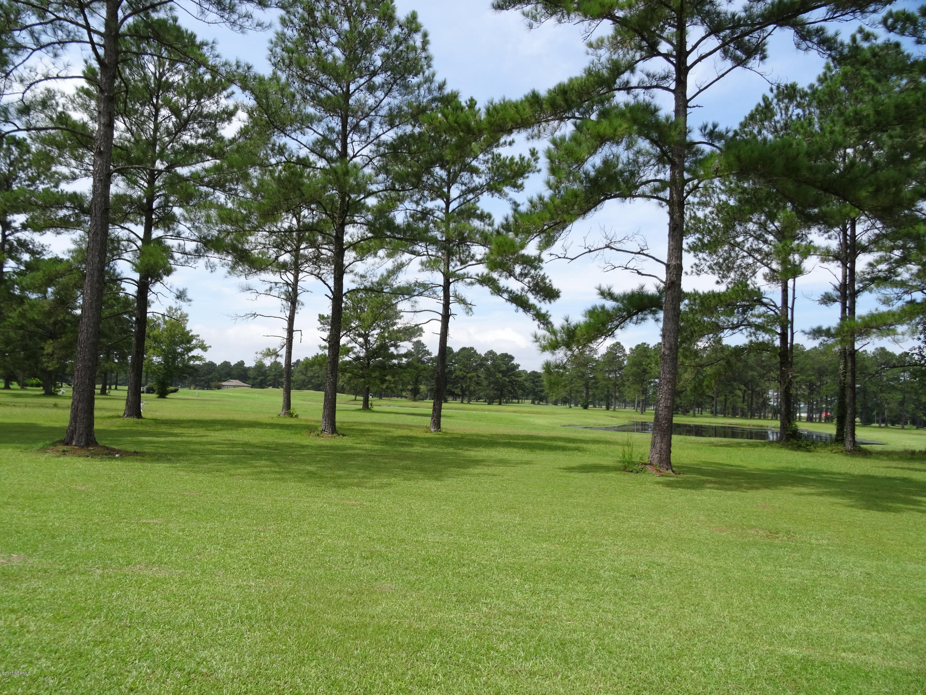 601 Peletier Loop Road, Unit K66 Swansboro, NC 28584 - Photo 30 of 34 Bakc Yard 3