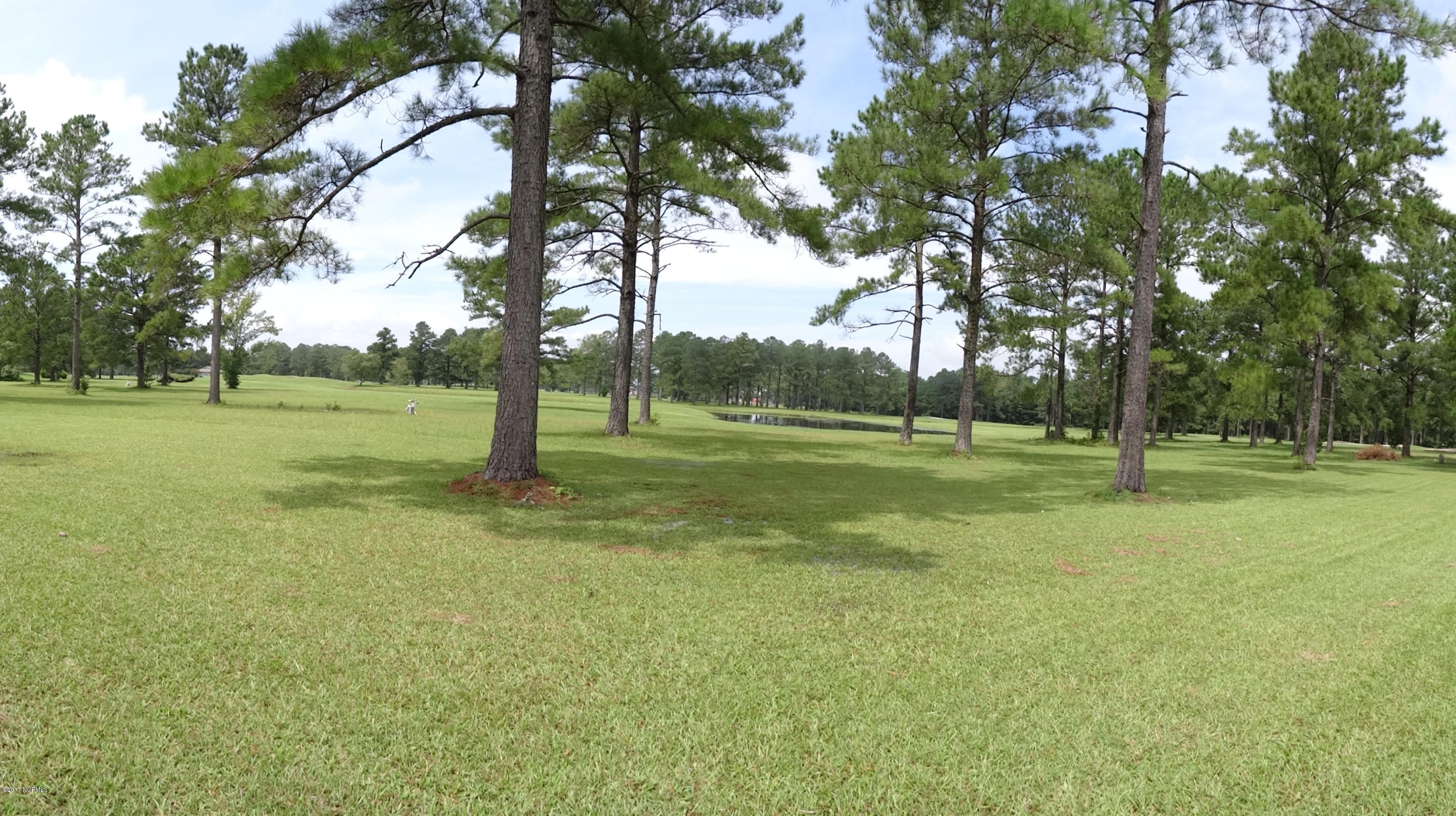 601 Peletier Loop Road, Unit K66 Swansboro, NC 28584 - Photo 34 of 34 Back Yard 4