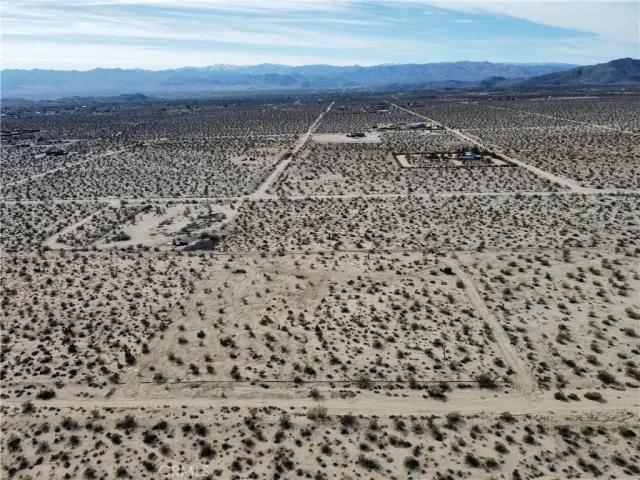 a view of ocean with palm trees