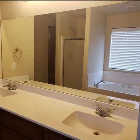 a bathroom with a sink and a large mirror
