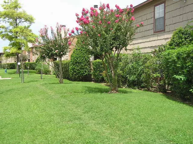 a view of a park with a tree