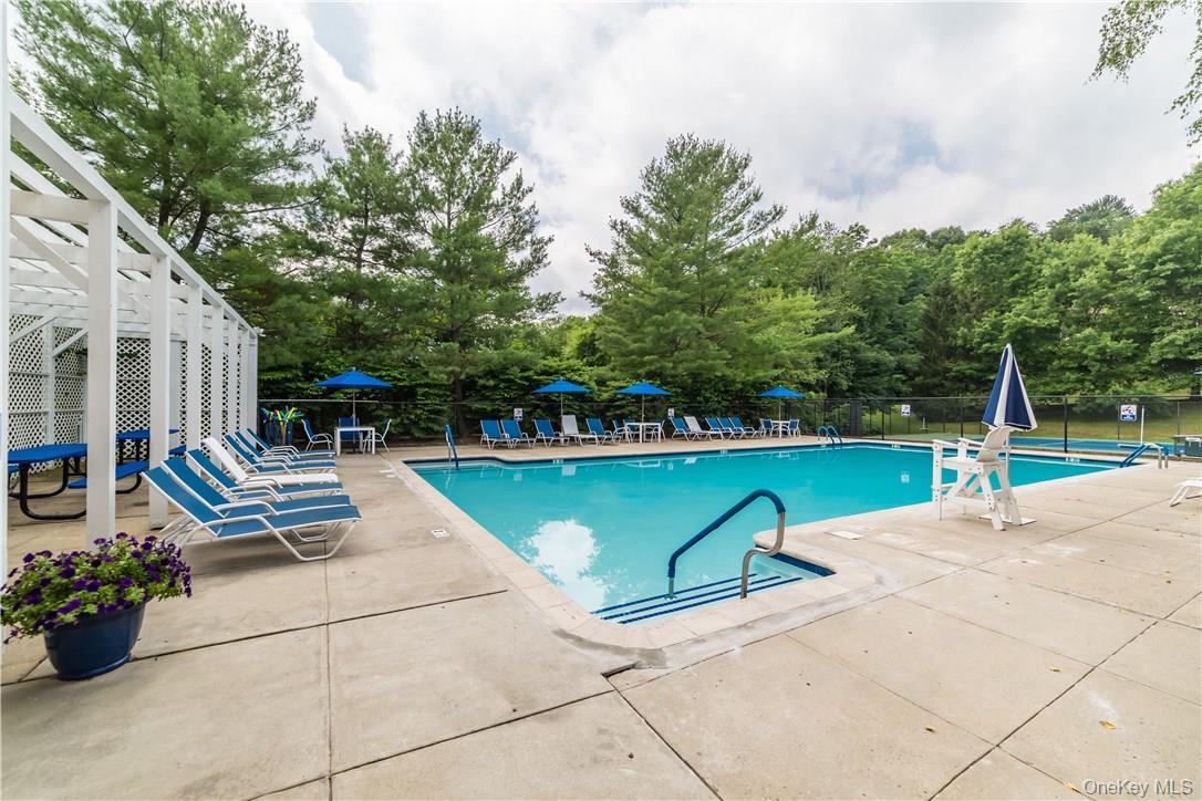 103 Rambling Brook Road Chappaqua, NY 10514 - Photo 30 of 33 a view of swimming pool with a patio