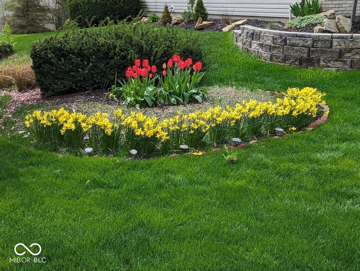 11191 Timberview Drive Fishers, IN 46037 - Photo 13 of 52