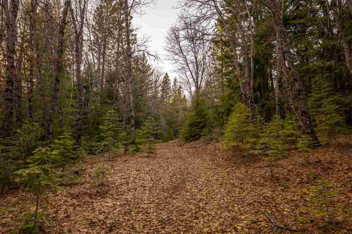 40-acres Off Deetz Road Mount Shasta, CA 96067 - Photo 13 of 25 Gallery Image 13