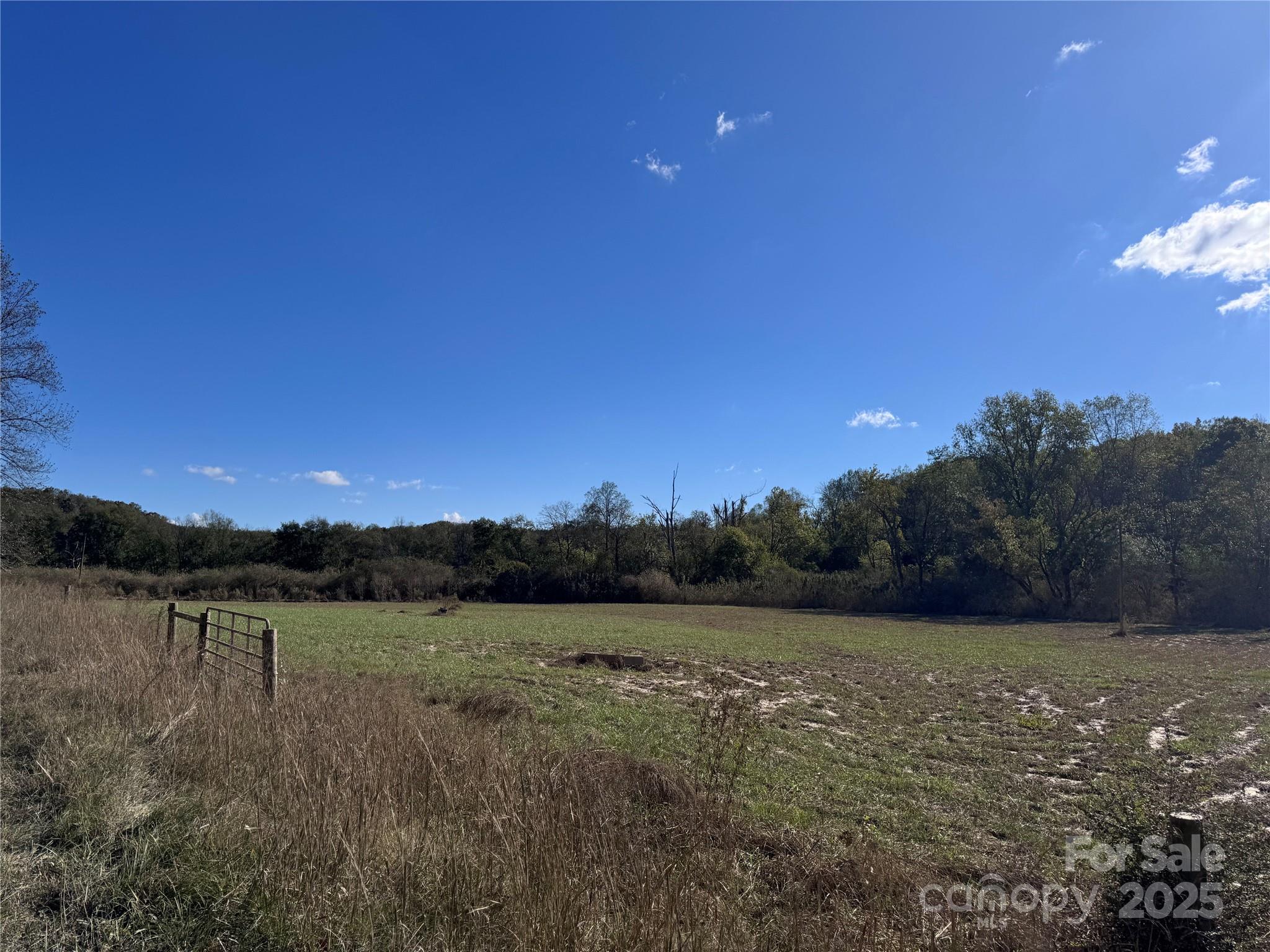 0 Abrams Moore Road Rutherfordton, NC 28139 - Photo 3 of 9 a view of outdoor space and yard