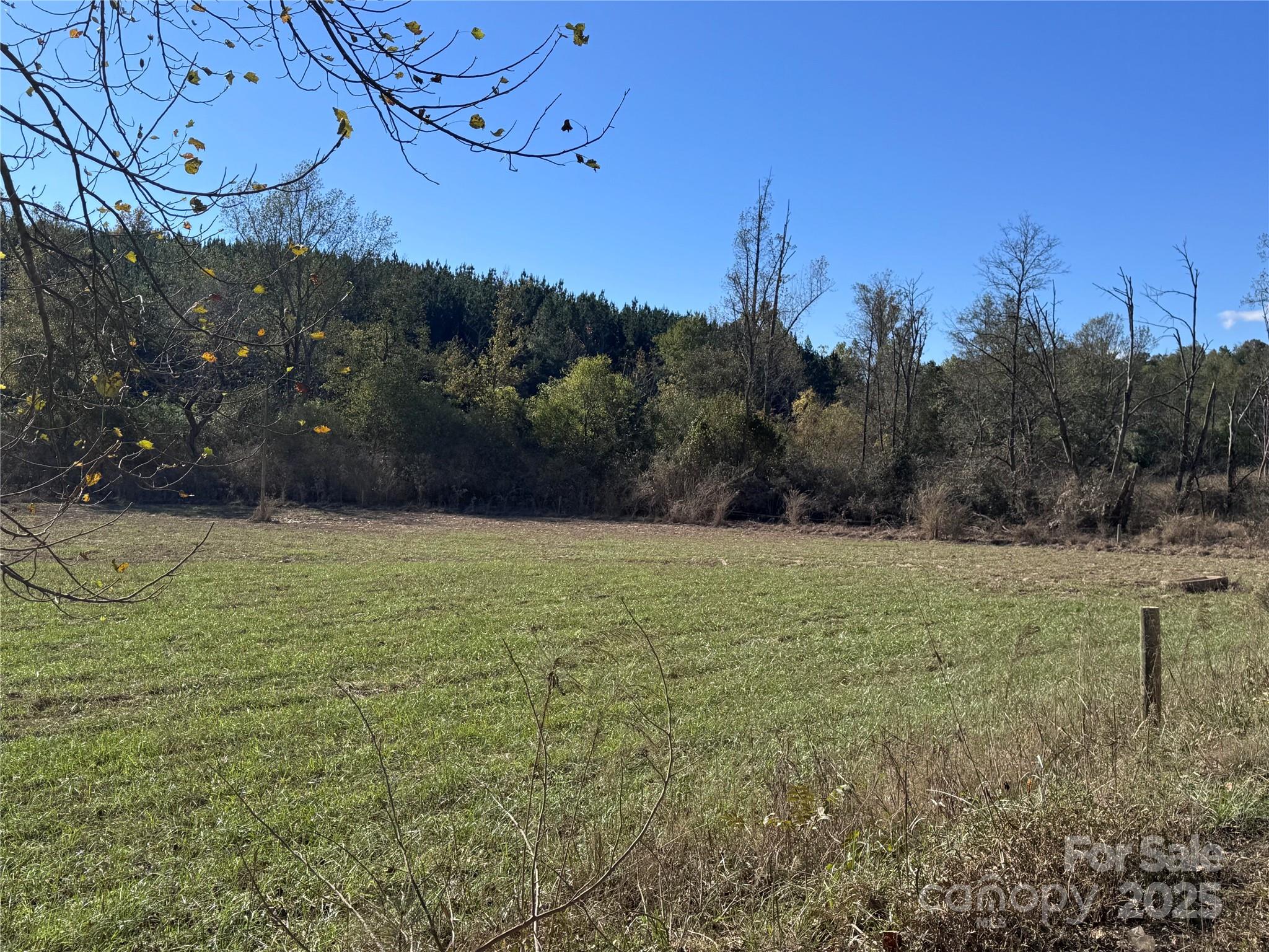 0 Abrams Moore Road Rutherfordton, NC 28139 - Photo 4 of 9 a view of outdoor space and yard