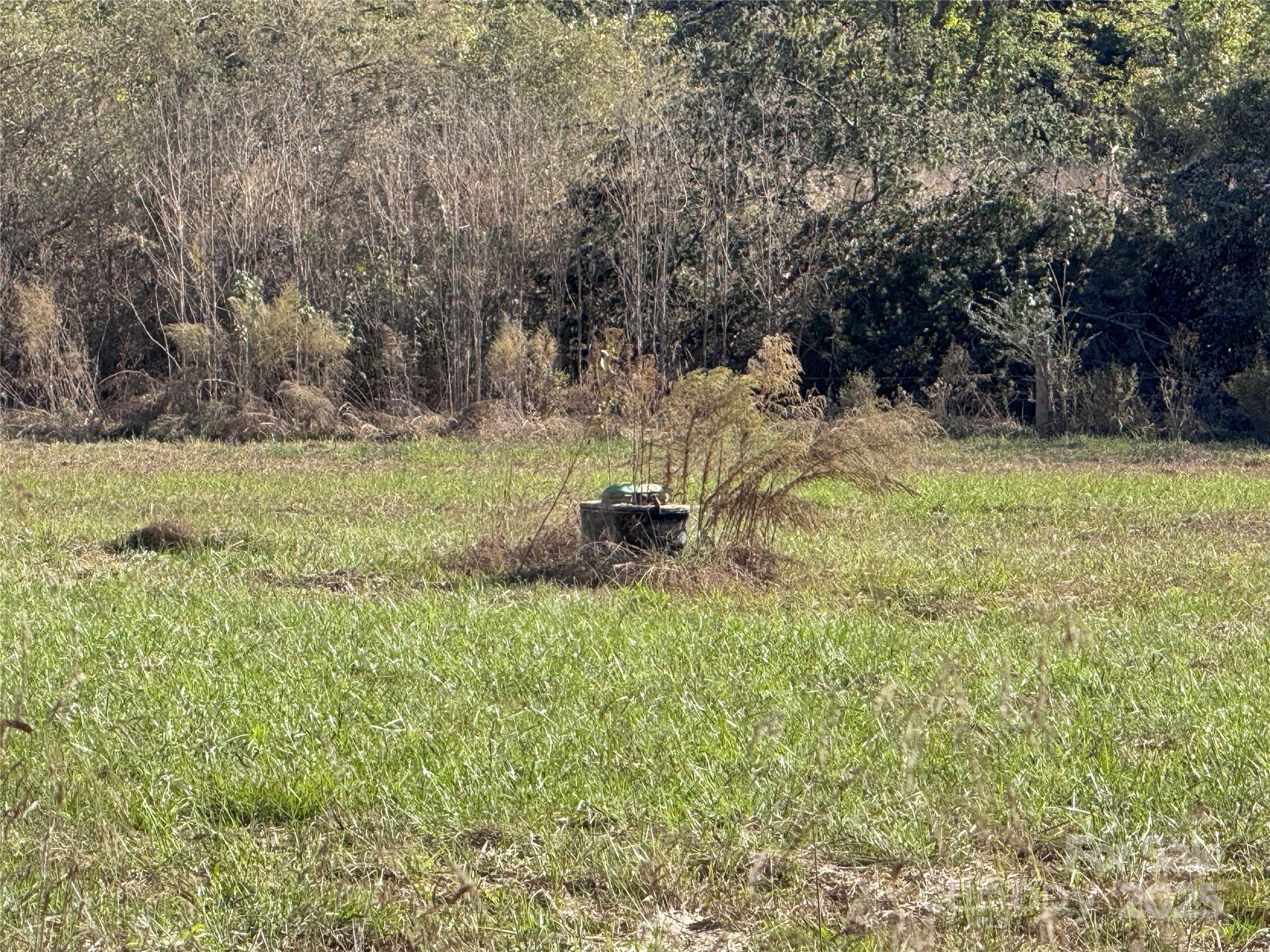 0 Abrams Moore Road Rutherfordton, NC 28139 - Photo 5 of 9 a backyard of a house with a yard and seating space
