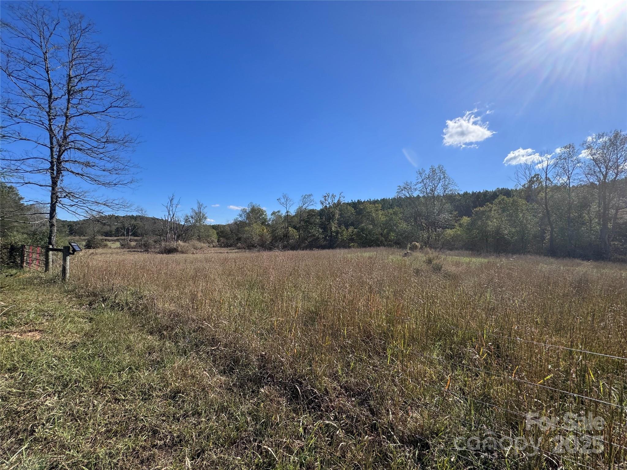 0 Abrams Moore Road Rutherfordton, NC 28139 - Photo 6 of 9 a view of a lake in middle of forest