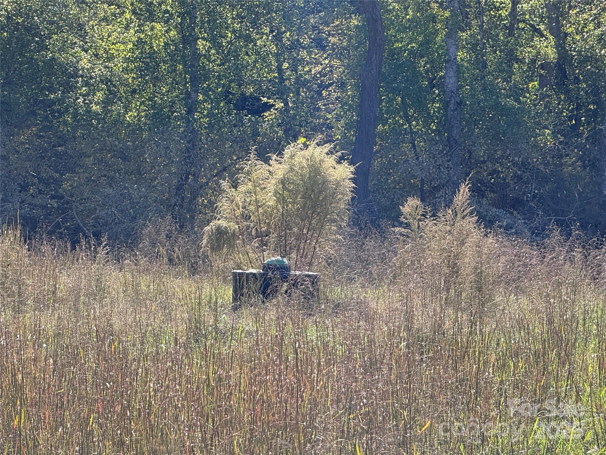 0 Abrams Moore Road Rutherfordton, NC 28139 - Photo 7 of 9 a backyard of a house with lots of green space and fog
