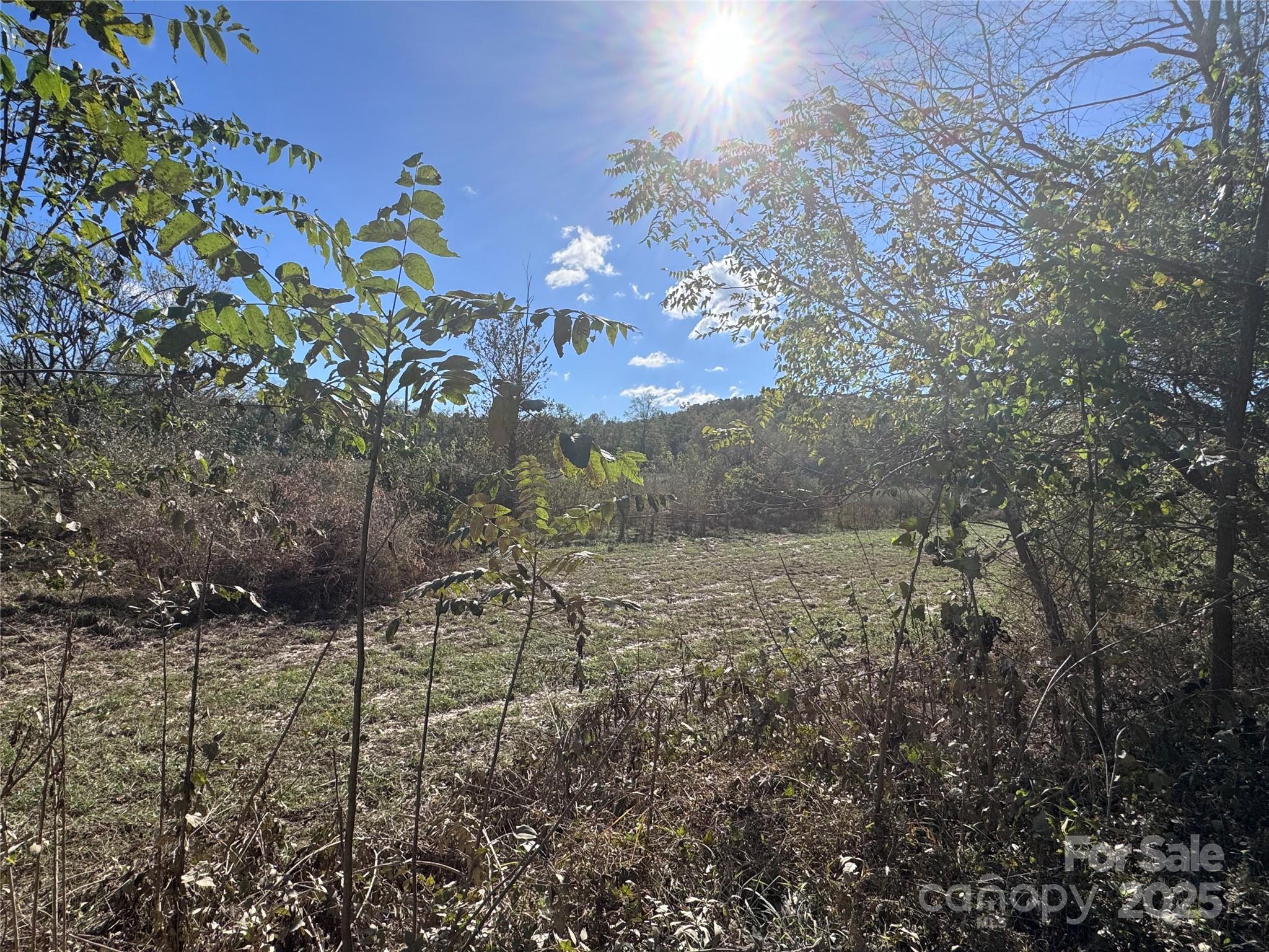 0 Abrams Moore Road Rutherfordton, NC 28139 - Photo 9 of 9 a view of a house with a yard